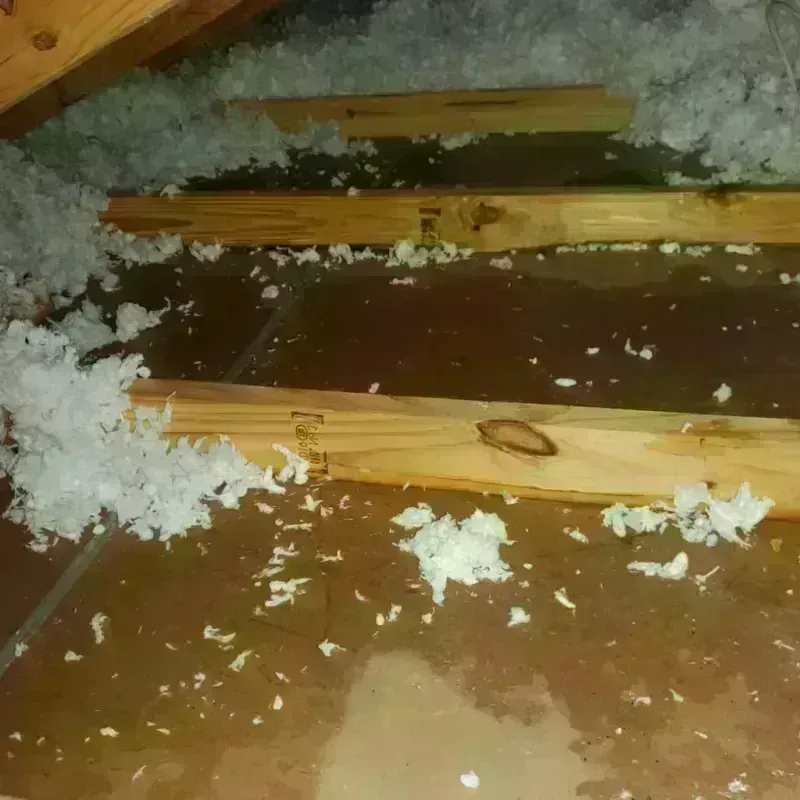 Attic Water Damage in Bannockburn, IL